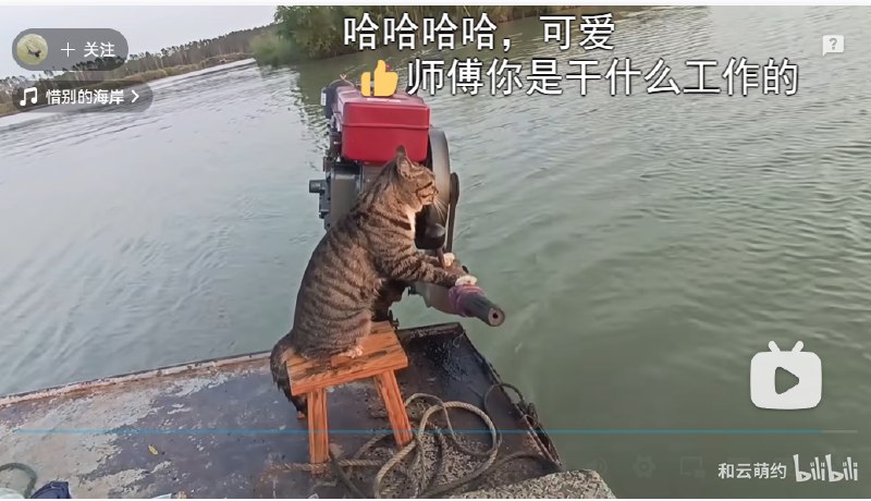 //莫名的可爱